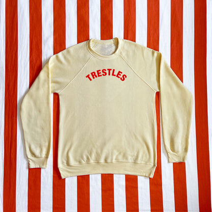 Trestles Raglan Sweatshirt